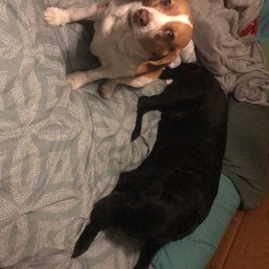 Meet your Posher, Kaleigh